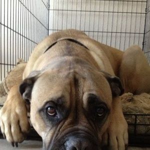 Meet your Posher, Leah